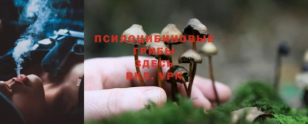 соль ск Балахна