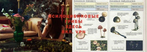 каннабис Балабаново