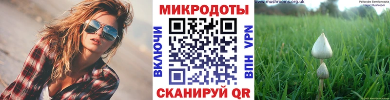 Псилоцибиновые грибы GOLDEN TEACHER  MEGA ССЫЛКА  Лагань 